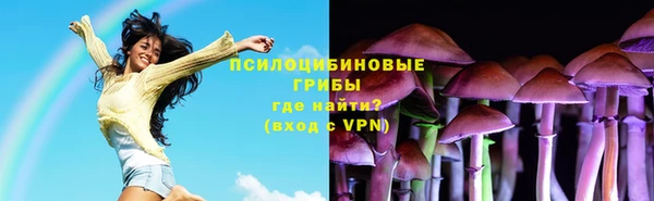 ПСИЛОЦИБИНОВЫЕ ГРИБЫ Навашино