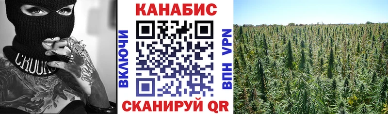 дарк нет Telegram  МЕГА маркетплейс  Мышкин  Марихуана OG Kush 